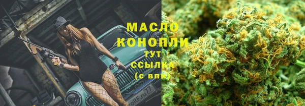 твердый Аркадак