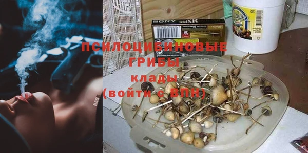 сатива Абинск