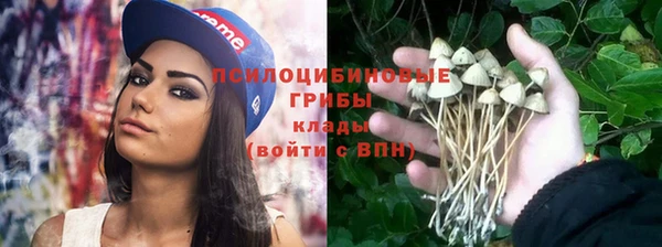 твердый Аркадак