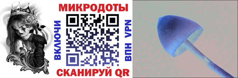 Псилоцибиновые грибы ЛСД наркота Октябрьский
